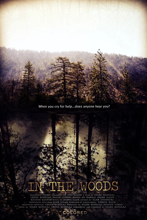 In the Woods постер