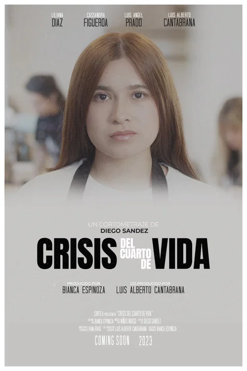 Crisis del Cuarto de Vida постер