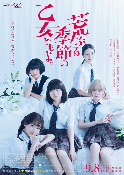 荒ぶる季節の乙女どもよ｡ постер