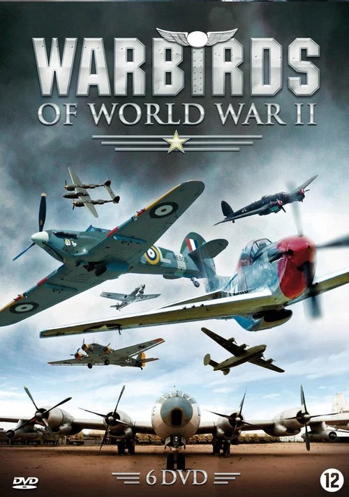 Warbirds of World War II постер