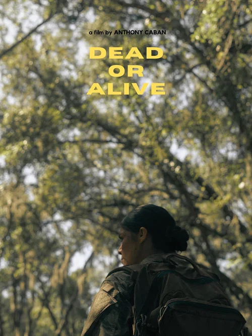 Dead or Alive постер