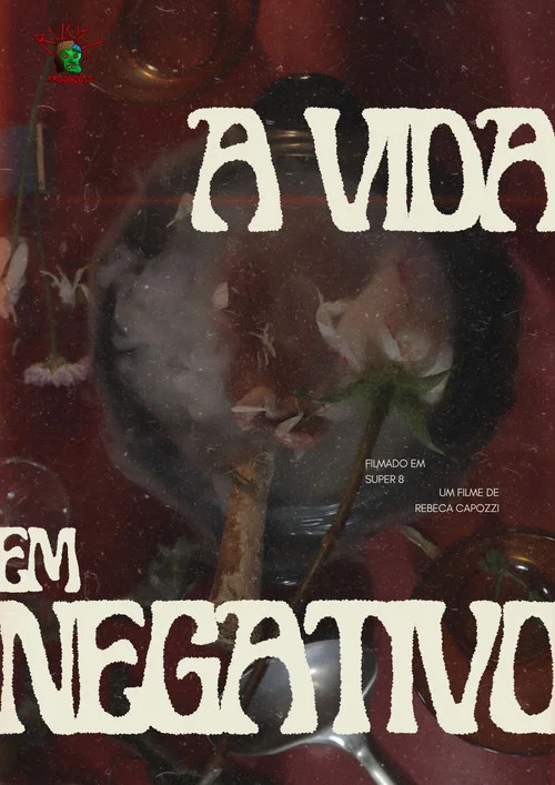 A Vida em Negativo постер
