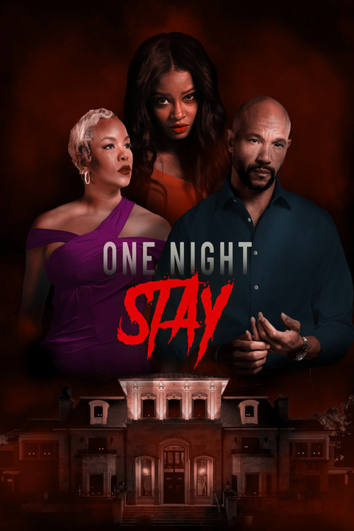One Night Stay постер