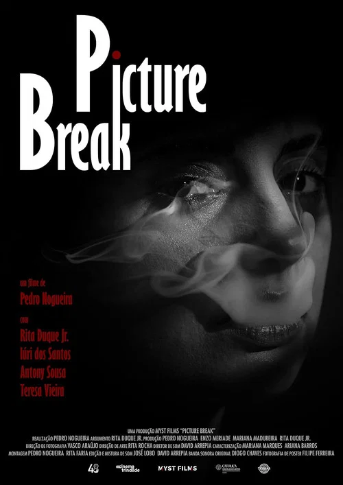 Picture Break постер