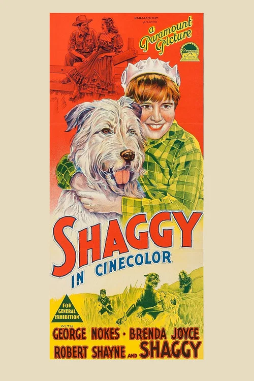 Shaggy постер