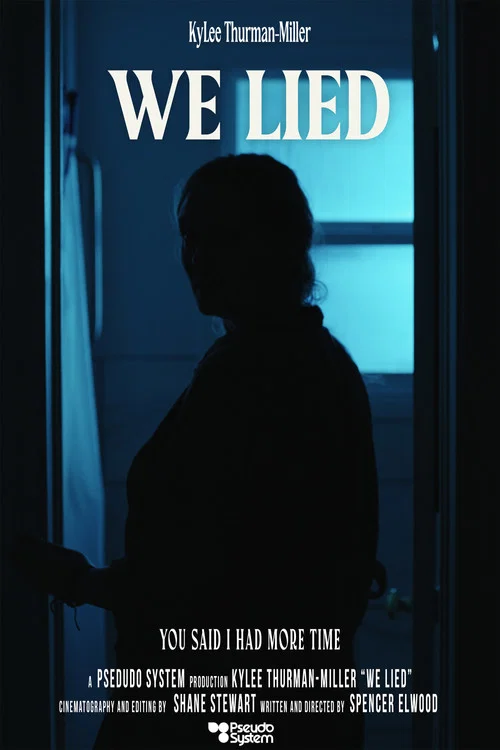 We Lied постер
