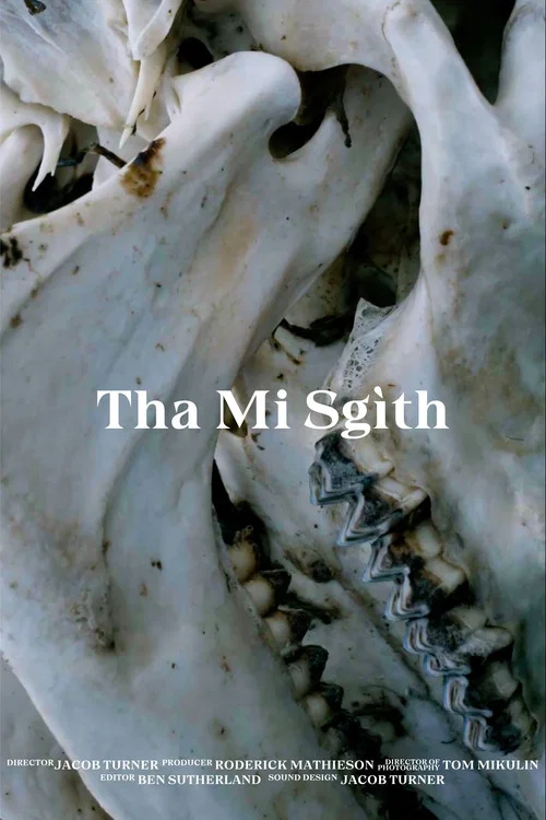 Tha Mi Sgìth постер