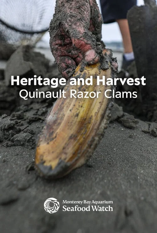 Heritage and Harvest: Quinault Razor Clams постер