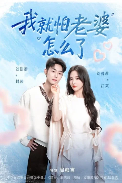 我就怕老婆怎么了 постер