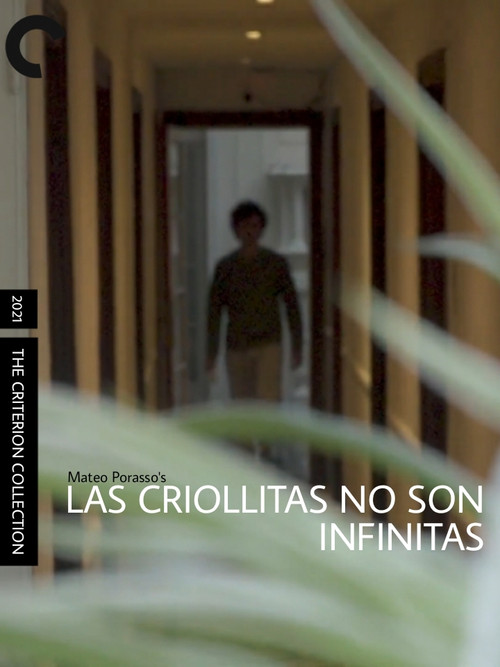 Las Criollitas no son Infinitas постер