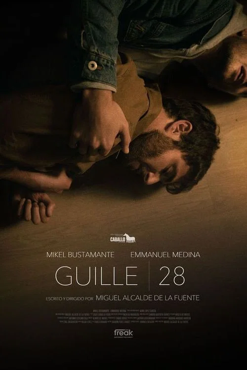 Guille, 28 постер