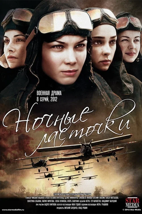 Ночные ласточки постер