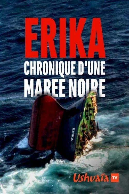 Erika, chronique d'une marée noire постер