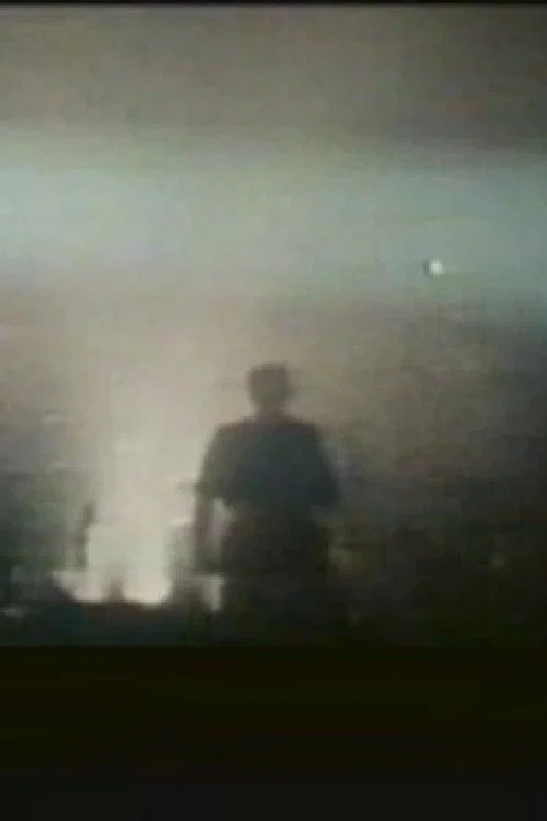 Laibach: The Platform постер