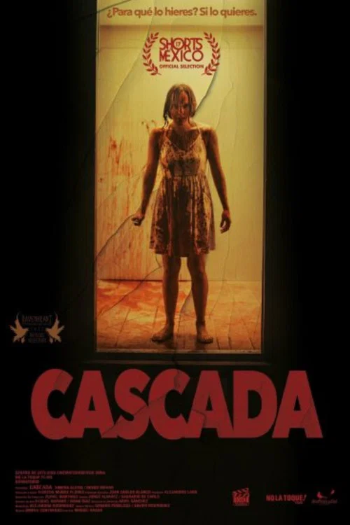 Cascada постер