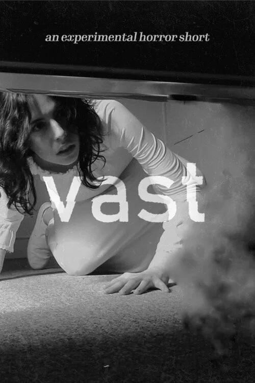 Vast постер