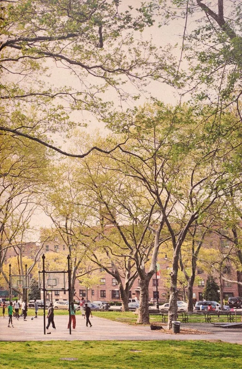 The Park постер