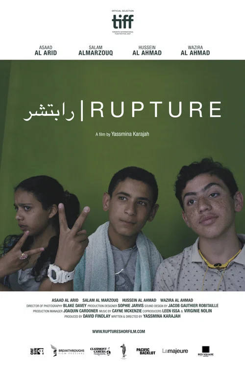 رابتشير постер