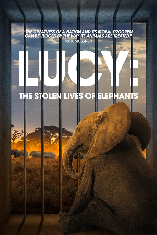 Lucy: The Stolen Lives of Elephants постер