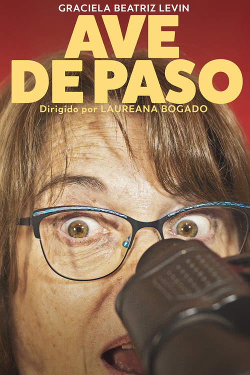 Ave de paso постер