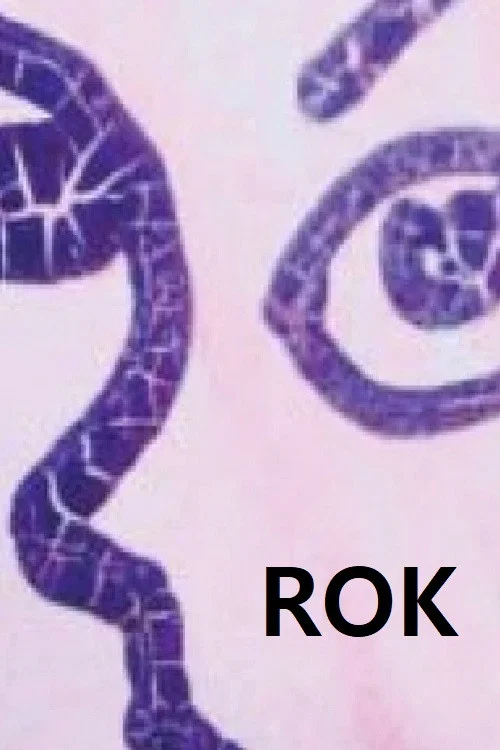 Rok постер