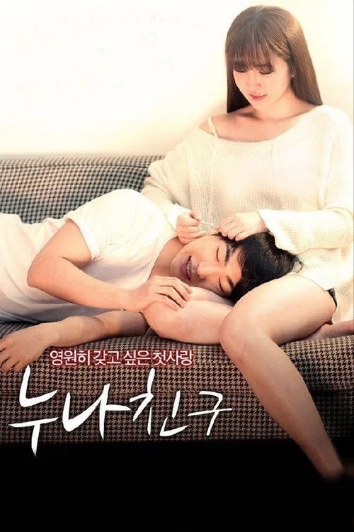 누나 친구 постер