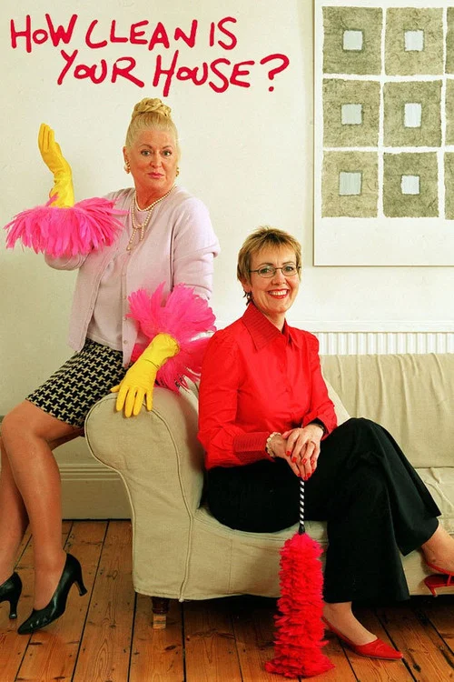 How Clean Is Your House? постер