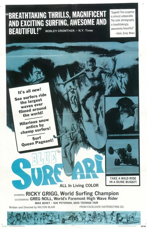 Surfari постер
