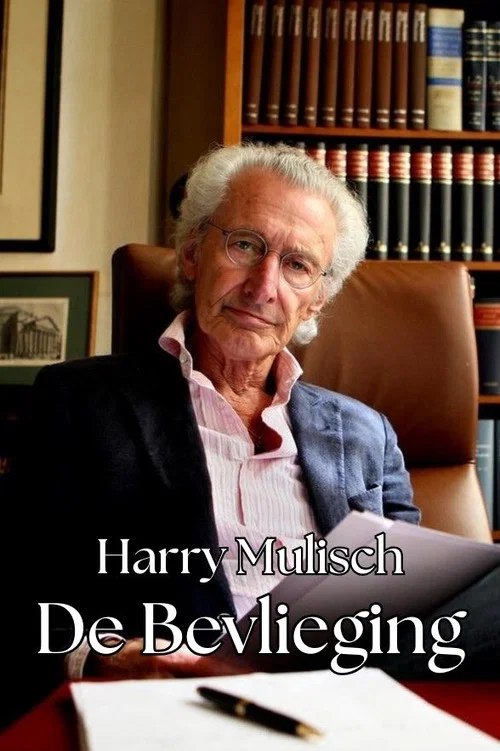 Harry Mulisch en de bevlieging постер