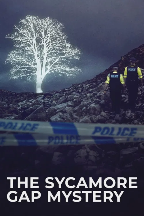 The Sycamore Gap Mystery постер