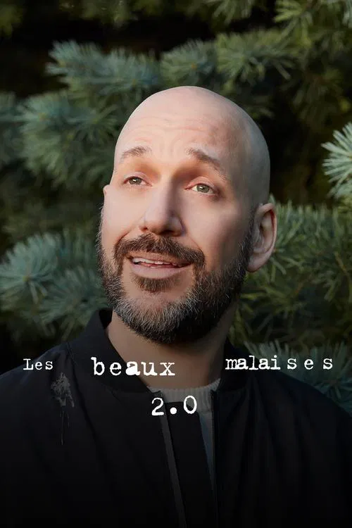 Милые беды 2.0 постер