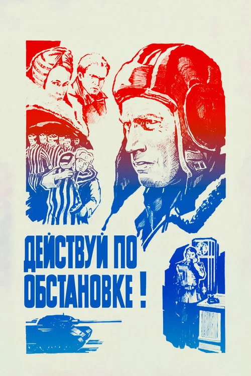 Действуй по обстановке!.. постер