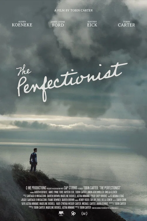 The Perfectionist постер