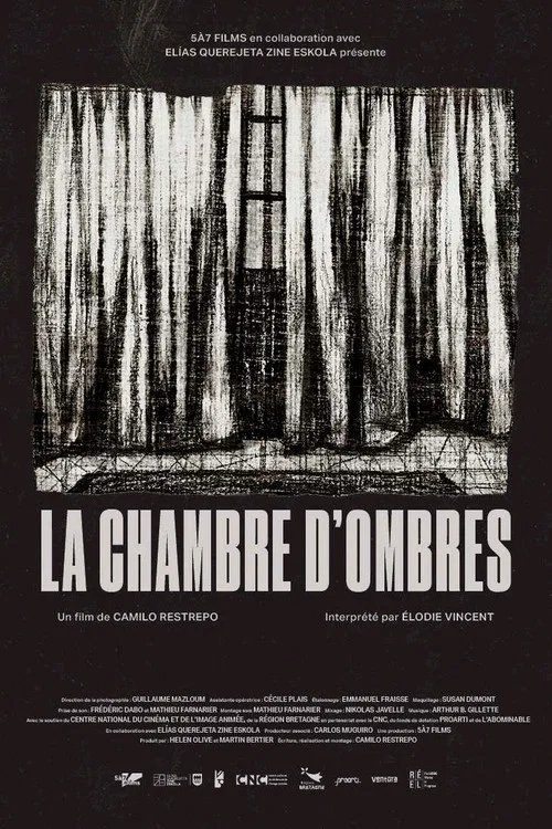 La chambre d'ombres постер