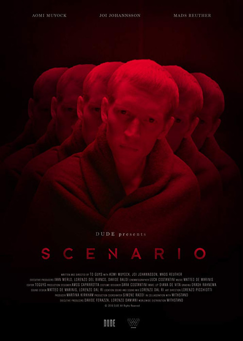 Scenario постер