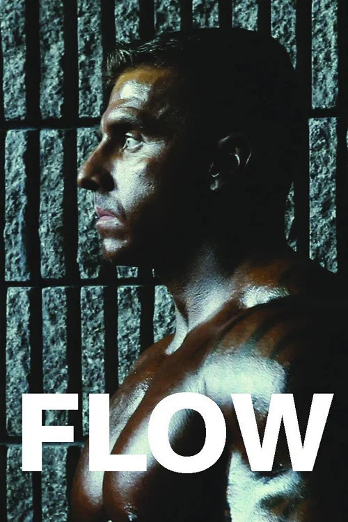 Flow постер