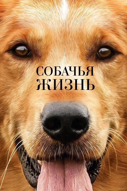 Собачья жизнь постер