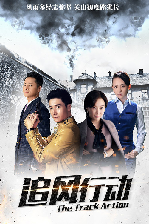 追风行动 постер