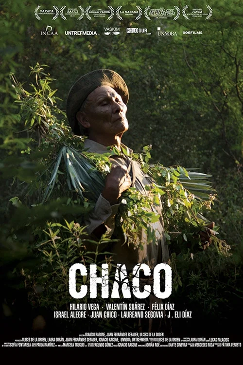 Chaco постер