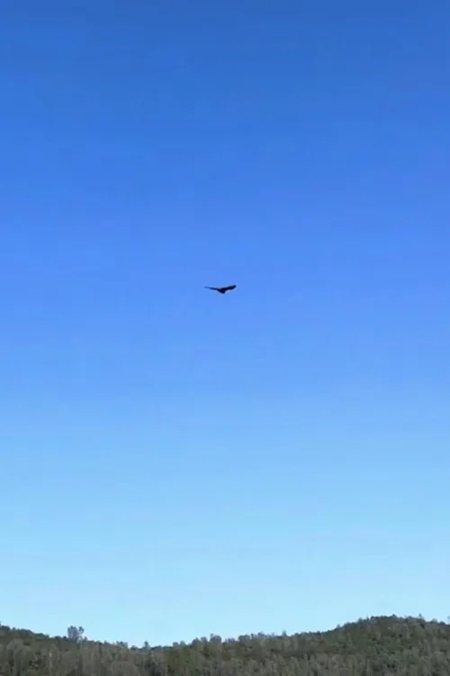 Nature постер