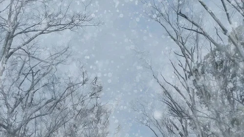Эпизод 1