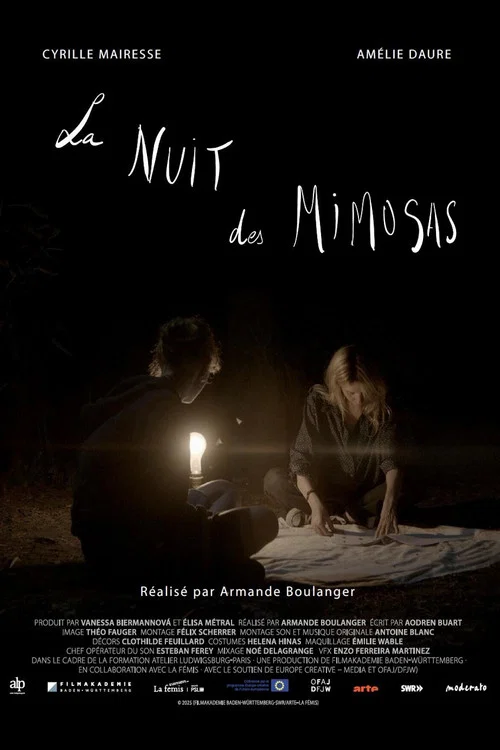 La nuit des mimosas постер