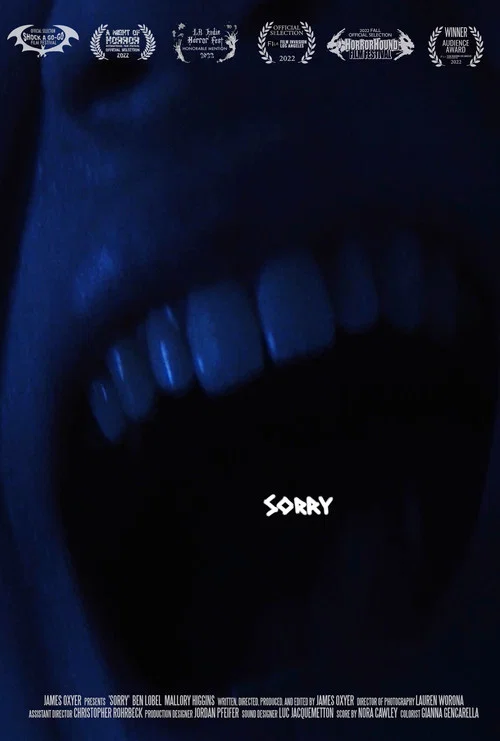 Sorry постер