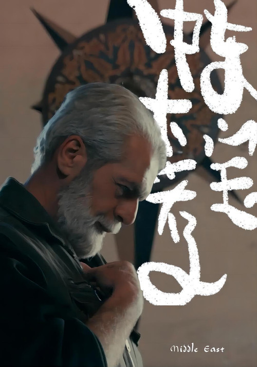 中东大宝荐 постер