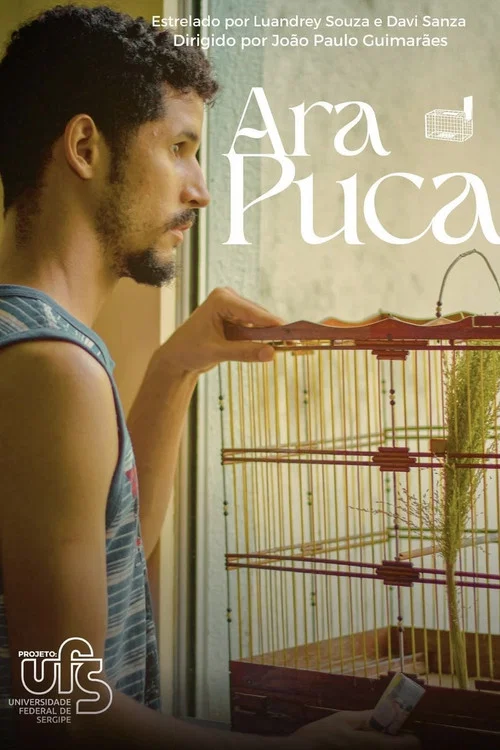 AraPuca постер