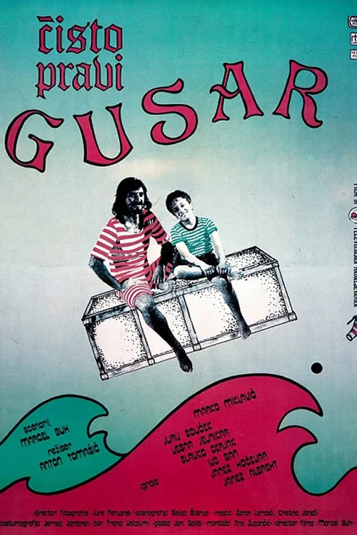 Čisto pravi gusar постер