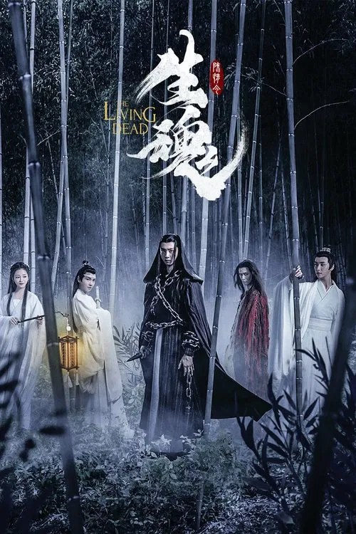 陈情令之生魂 постер