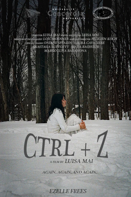 CTRL+Z постер