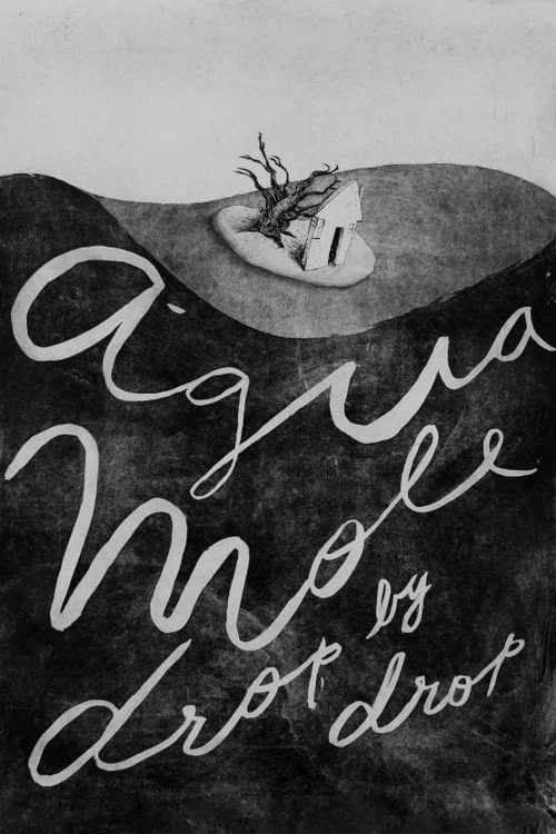 Água Mole постер