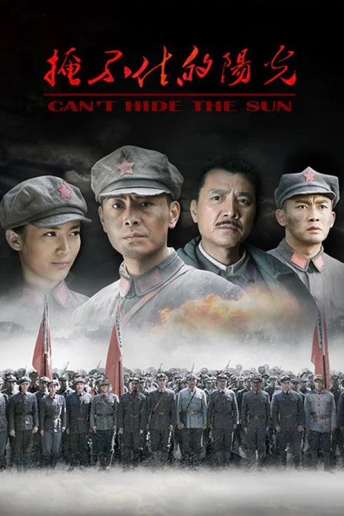 掩不住的阳光 постер